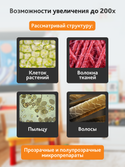 Микроскоп Levenhuk 2S NG, монокулярный