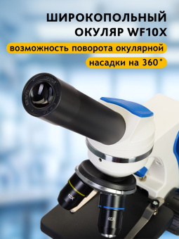 Микроскоп Levenhuk Discovery Pico с книгой