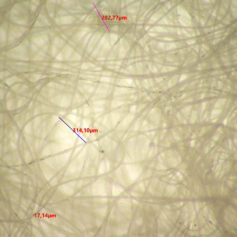 Микроскоп стереоскопический MAGUS Stereo 9T