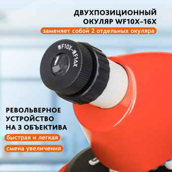 Микроскоп Levenhuk Discovery Micro с книгой