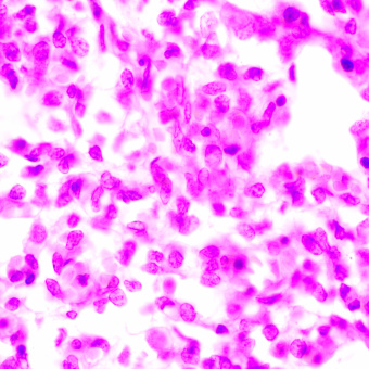 Микроскоп биологический MAGUS Bio 270T