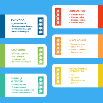 Микроскоп Levenhuk Discovery Micro с книгой
