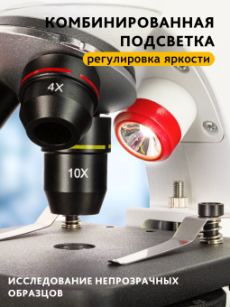 Микроскоп Levenhuk Discovery Pico с книгой