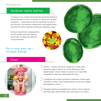 Микроскоп Levenhuk Discovery Pico с книгой