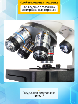Микроскоп цифровой Levenhuk Discovery Atto Polar с книгой