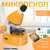 Микроскоп Levenhuk Discovery Micro с книгой