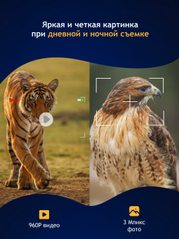 Бинокль цифровой ночного видения Levenhuk Halo 13X Wi-Fi