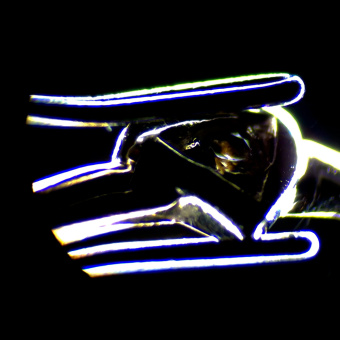 Микроскоп стереоскопический MAGUS Stereo 7B