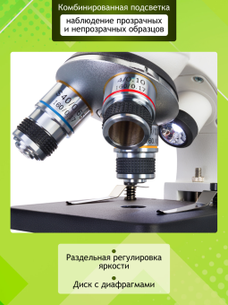 Микроскоп Levenhuk Discovery Femto Polar с книгой