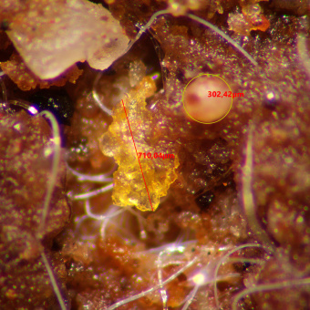 Микроскоп стереоскопический MAGUS Stereo A10