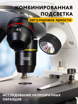 Микроскоп цифровой Levenhuk Discovery Pico Polar с книгой