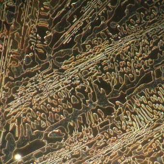 Микроскоп металлографический цифровой MAGUS Metal D650 BD