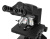 Микроскоп Levenhuk 890B, бинокулярный