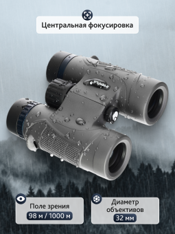 Бинокль Levenhuk Nitro 10x32