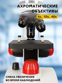 Микроскоп Levenhuk Discovery Pico с книгой