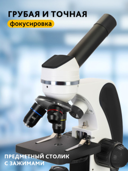Микроскоп Levenhuk Discovery Pico с книгой