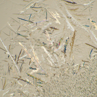 Микроскоп биологический MAGUS Bio 230T