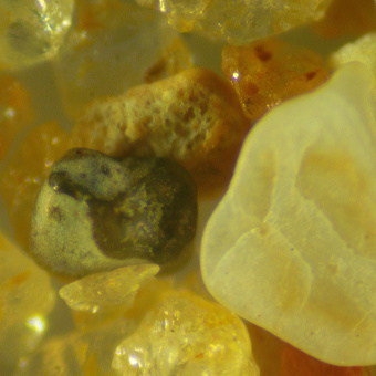 Микроскоп стереоскопический MAGUS Stereo 9T