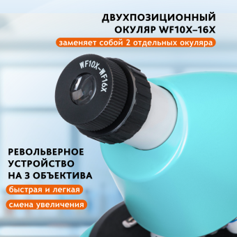 Микроскоп Levenhuk Discovery Micro с книгой
