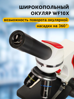 Микроскоп Levenhuk Discovery Pico с книгой