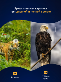 Бинокль цифровой ночного видения Levenhuk Halo 13X Helmet, с креплением на голову