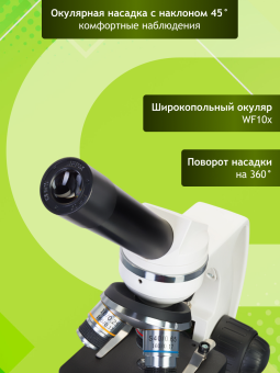 Микроскоп Levenhuk Discovery Femto Polar с книгой
