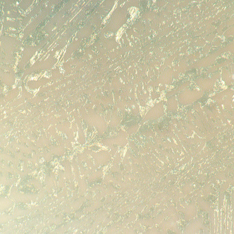 Микроскоп металлографический цифровой MAGUS Metal D650 BD