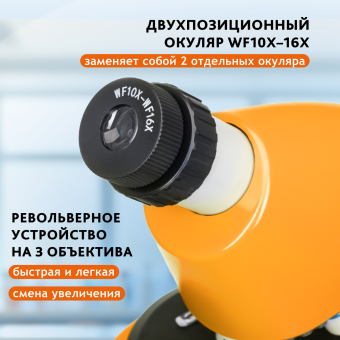 Микроскоп Levenhuk Discovery Micro с книгой