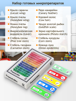 Микроскоп цифровой Levenhuk LabZZ DM200 LCD