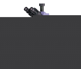 Микроскоп поляризационный MAGUS Pol 800
