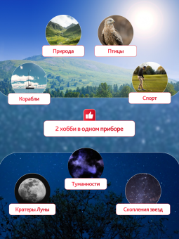 Набор: бинокль Levenhuk Bruno BASE 15x70 со штативом