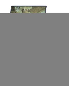 Микроскоп металлографический инвертированный цифровой MAGUS Metal VD700 LCD