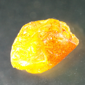 Микроскоп стереоскопический MAGUS Stereo A8