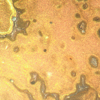 Микроскоп металлографический инвертированный MAGUS Metal V790 DIC