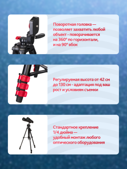 Набор: бинокль Levenhuk Bruno BASE 15x70 со штативом