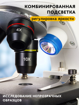 Микроскоп Levenhuk Discovery Pico с книгой