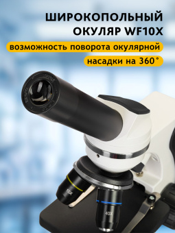 Микроскоп Levenhuk Discovery Pico с книгой