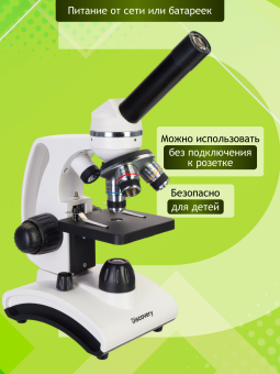 Микроскоп Levenhuk Discovery Femto Polar с книгой