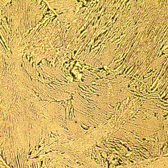 Микроскоп металлографический MAGUS Metal 600