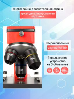 Микроскоп Levenhuk Rainbow 2L PLUS
