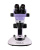Микроскоп стереоскопический MAGUS Stereo 7B