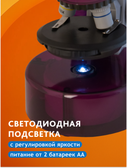 Микроскоп Levenhuk LabZZ M101