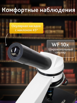 Микроскоп Levenhuk Rainbow 2L