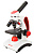 Микроскоп Levenhuk Discovery Pico с книгой